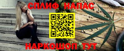 бошки Новозыбков
