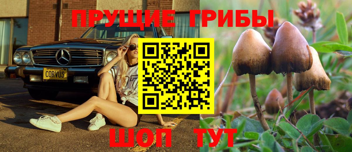 Галлюциногенные грибы MAGIC MUSHROOMS Тавда