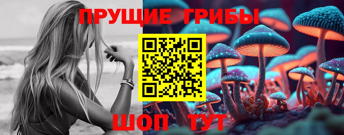 Галлюциногенные грибы Magic Shrooms  Вход с VPN  купить наркоту  Тавда 