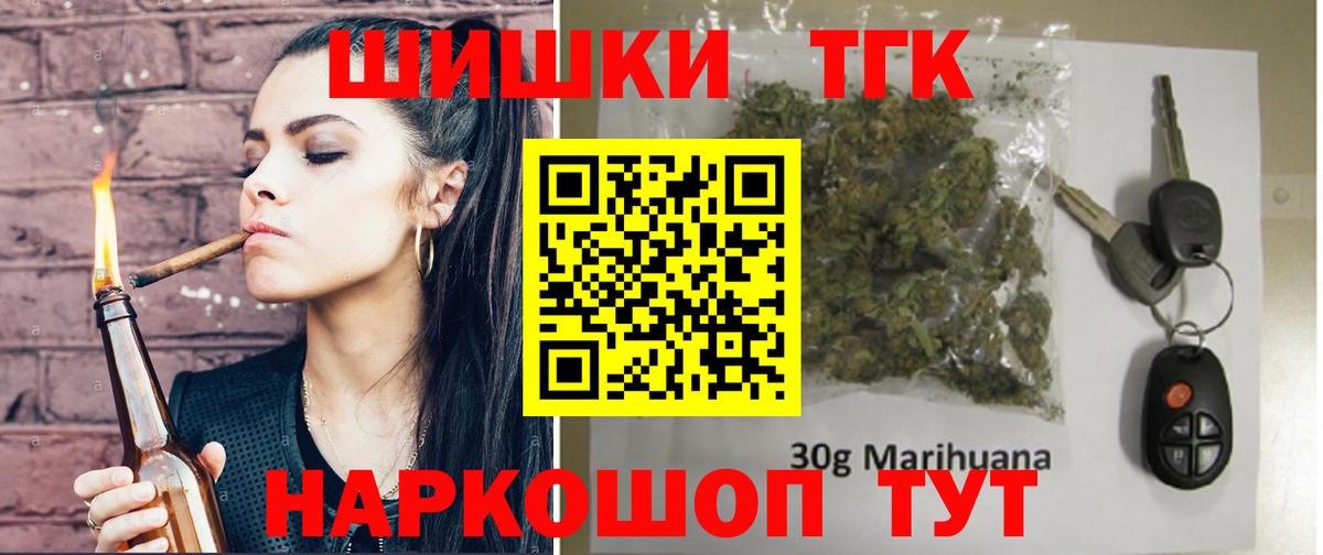 Конопля сатива Тавда